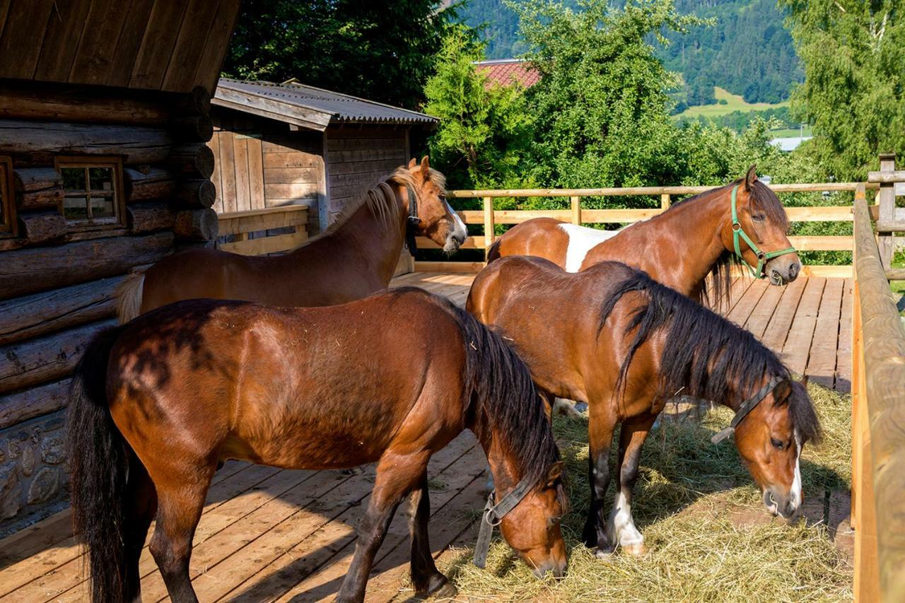 Ferienhaus / Chalet Lerch Βίλα Sankt Johann im Pongau Εξωτερικό φωτογραφία